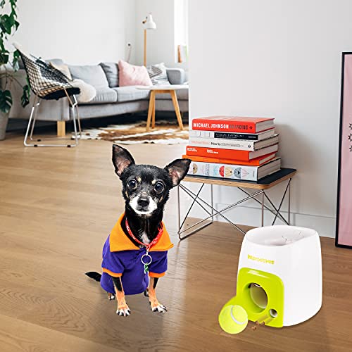 AFP AFPH03201 Hundespielzeug Interactive Fetch'N Treat