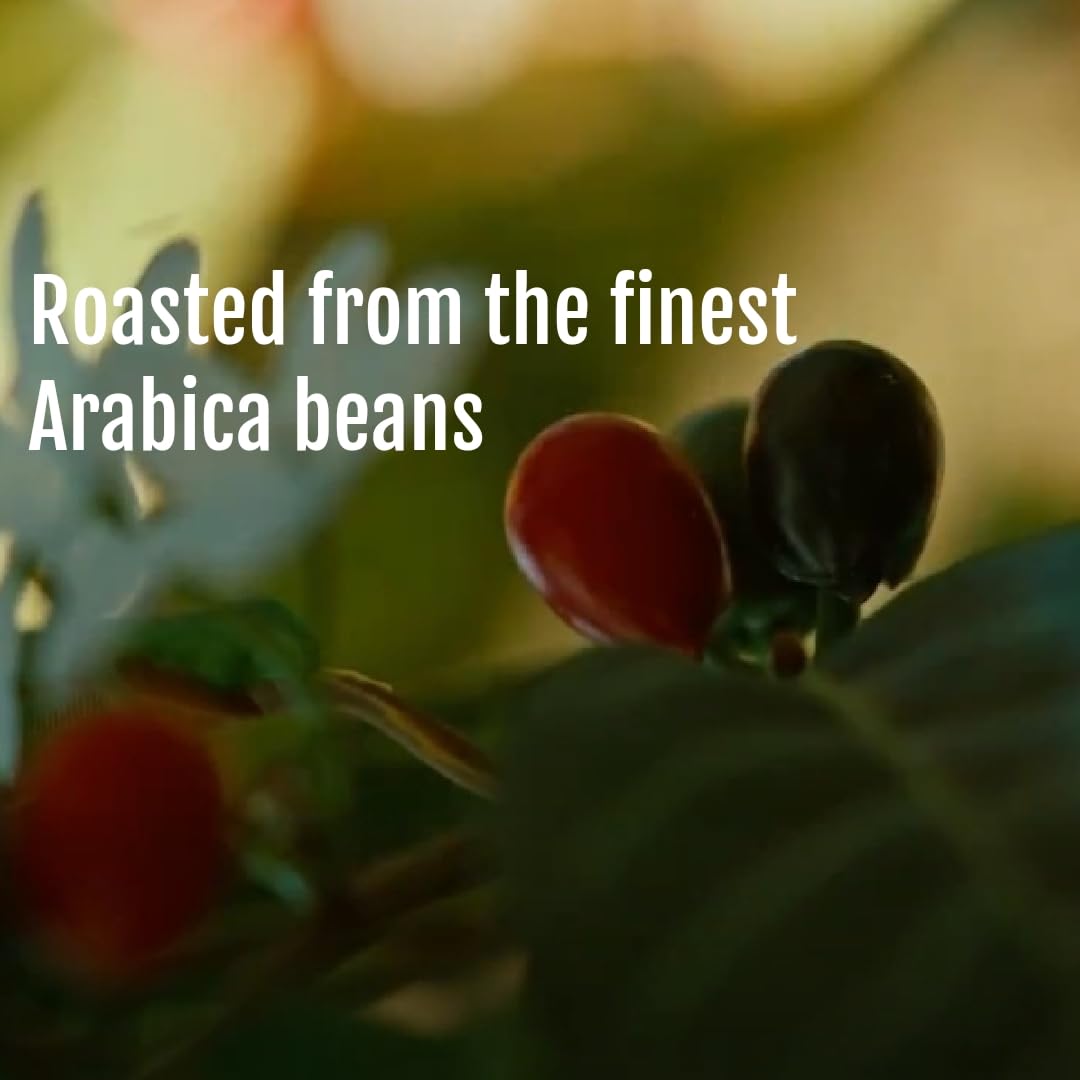 Amazon.com : Arabic Coffee, 250 g (8.8oz) : Grocery & Gourmet Food