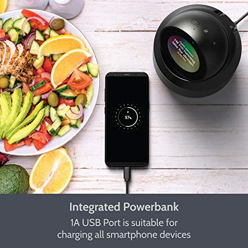 Vault Altoparlante Portatile per Amazon Echo Spot