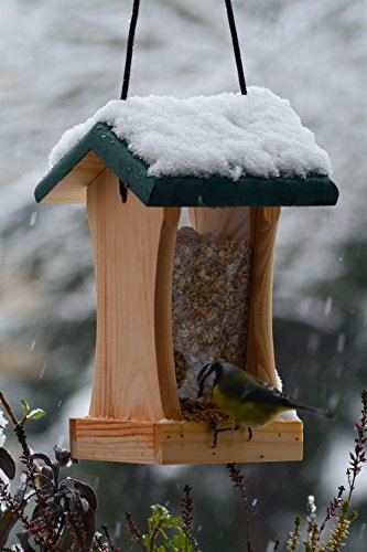 dobar® 90061FSCe Vogelfutterhaus Hängend - Kleines Vogelhaus Futtersilo - Futtersäule Massivholz - Futterstation für Wildvögel - Futterhaus für Garten/Terrasse/Balkon - 16 x 16 x 24 cm - Grün