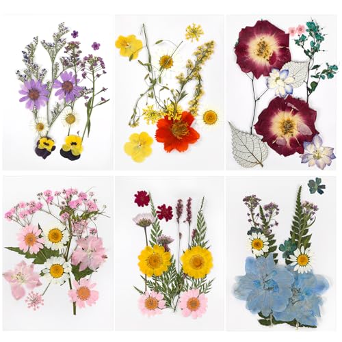 Naturales Flores Prensadas Secas, 72 Piezas Flores Secas Naturales, Flores Secas Decoracion, Flores Secas Manualidades, Flores Secas Mezcladas, para Resina Scrapbooking, Joyería de Resina Epoxi