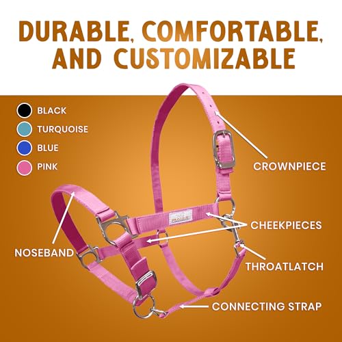 Prairie Horse Supply Cabresto de cavalo de nylon, rosa – 2,5 cm de largura, cabresto ajustável para