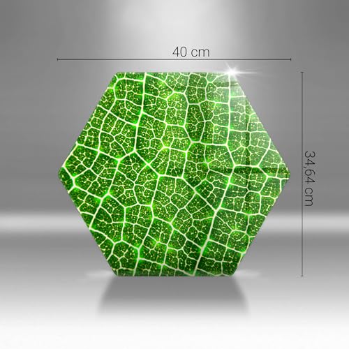 Plaque induction protection 40cm en verre trempé multifonction - 5