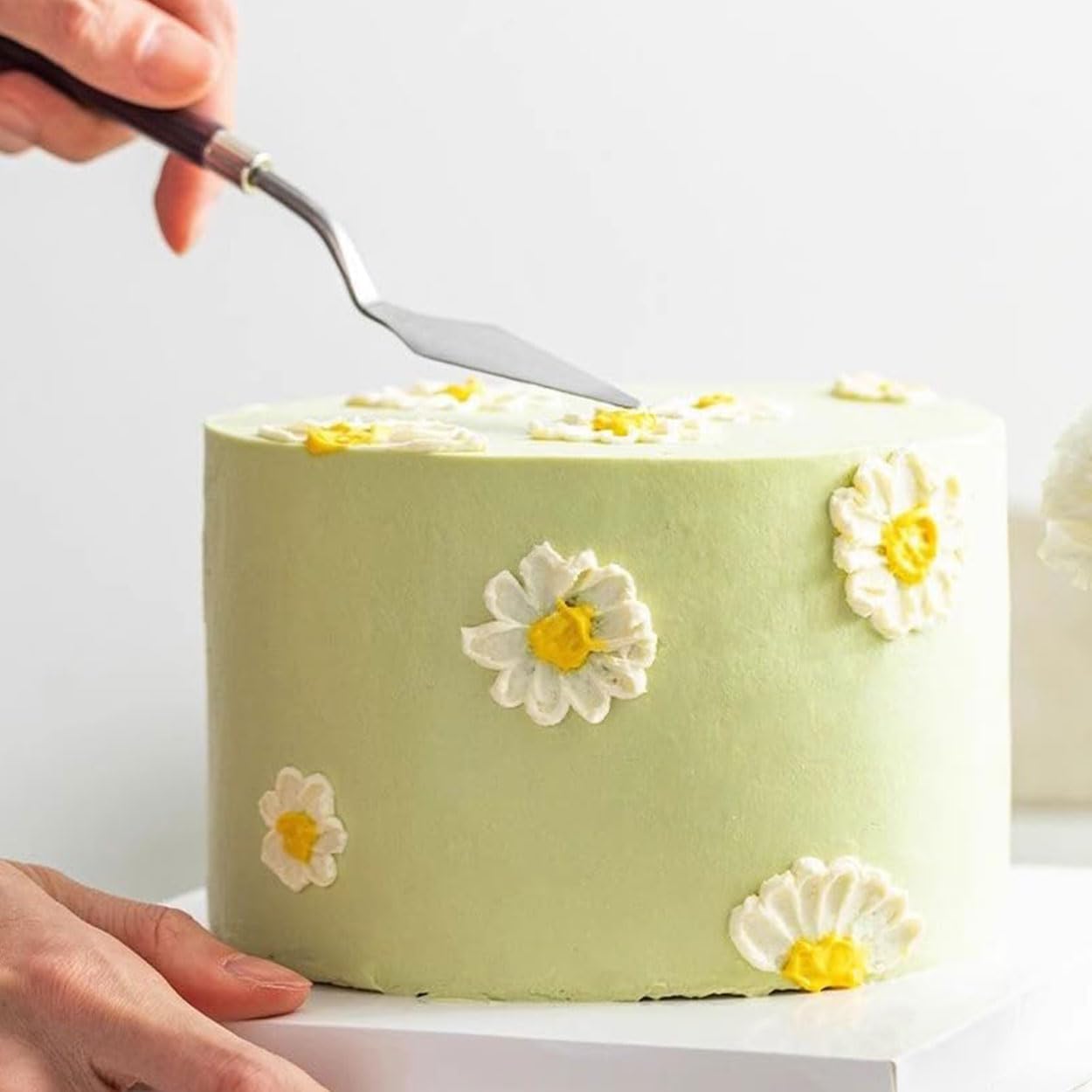 Boyun Acrylic Cake Disc, Clear Cake Decorating Supplies with 8 Round Acrylic Discs, 2 Icing Scraper And 4 Center Dowel, 5 Cake Cream Spatula, Acrylic Discs For Icing Cakes(4.25/6.25/8.25/10.25 Inch)