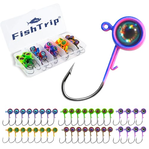 FishTrip Crappie Jig Heads 25packs Fishing Jig Heads Hooks with 3D Eyes Swimbait Jig Head for Crappie Bass Fishing 1/32oz 1/16oz 1/8oz 3/16oz 1/4oz