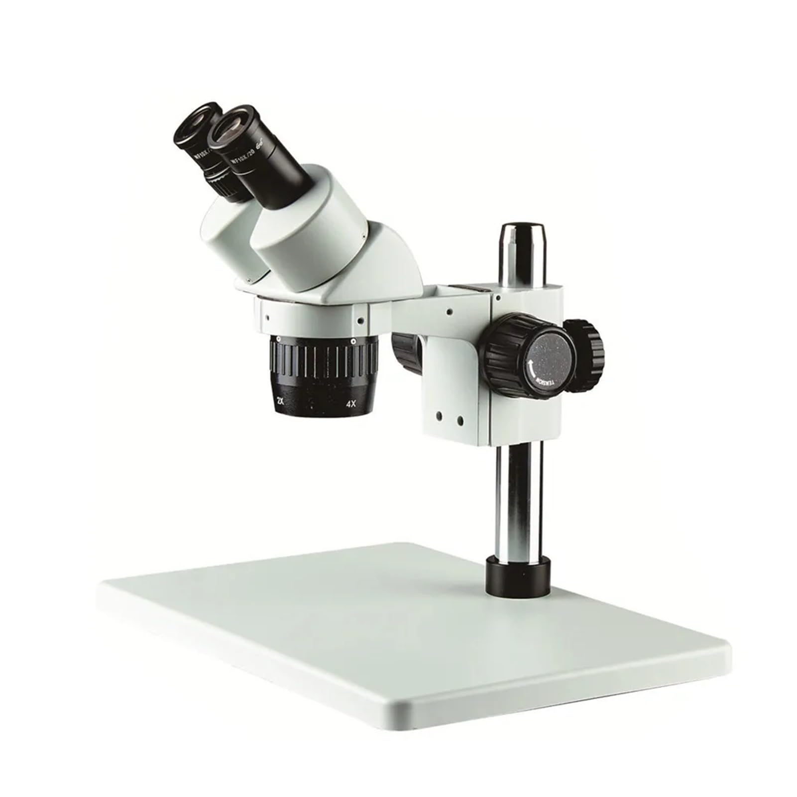 Microscopio Stereoscopico Binoculare con Zoom 10X/30X E Base Ampia - Xt-60-B3 per Hobbisti E Professionisti