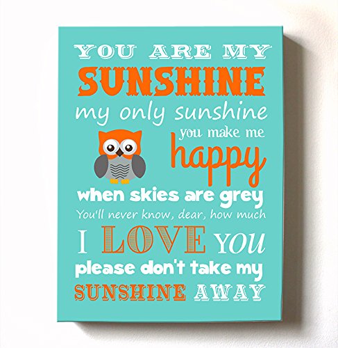Adorable You are My Sunshine Bedtime Story Rhyme - Woodland Owl Design - Stretched Canvas Nursery Wall Art Decor - Baby Gift idea - Wooden Frame Construction - Ready to Hang 10X12