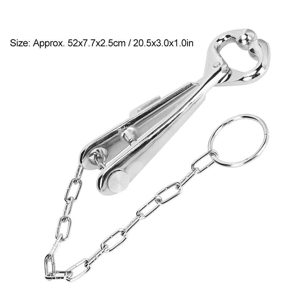 Pinza Per Naso Bovino Con Catena - Strumento Veterinario In Acciaio Zincato