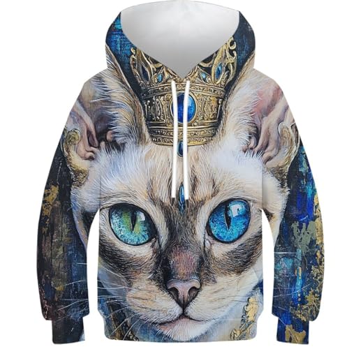 Manteau manches longues garçon pull chat 3D et sweat à capuche 11-13 ans
