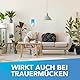 Raid Essentials Lichtfalle, Insektenstecker mit Klebefalle zur Bekämpfung fliegender Insekten wie Motten, Fruchtfliegen, Schnaken und Trauermücken, Starter-Set (Halter + Nachfüller), 1er Pack