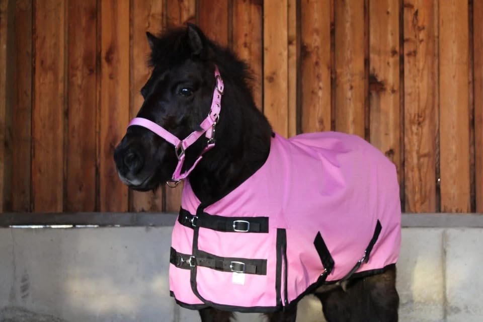 Pferdedecke Regendecke 1200D 65, 75, 85, 95, 105 Shetty Outdoordecke (Rosa, 85 cm)