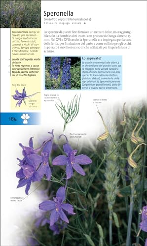Riconoscere I Fiori Spontanei D'italia E D'europa - 5