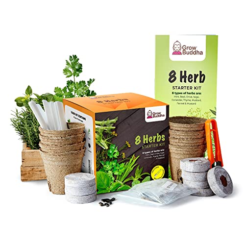 Top 10 Best Herb Garden Starter Kit Reviews & Buying Guide Katynel