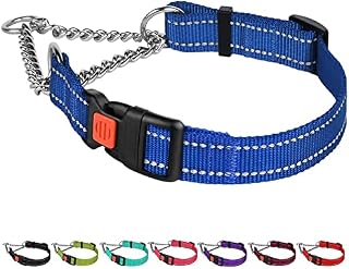 CollarDirect Reflective Dog Collar Martingale Collars Side Release Buckle Chain Training Adjustable Pet Collars (M, Neck Size 14"-17", Mint Green)