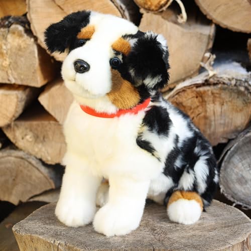 RAPPA Plüsch Australian Spaniel mit Halsband sitzend 30 cm, Kuscheltier, Plüschtier, Stofftier, UMWELTFREUNDLICH