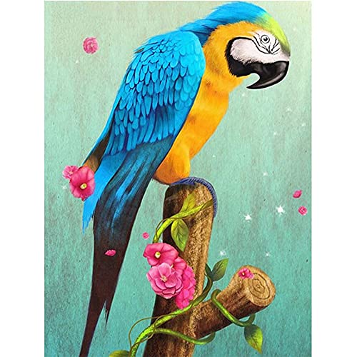 Kit Broderie Diamant Perroquet Large Size - Diamond Painting Strass Image pour Déco Murale Luxe