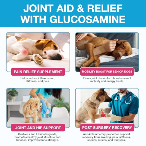 Pain Relief for Dogs, Gelenk Drops für Hunde, Dog Chondroitin Drops, Joint Aid & Relief with Glucosamine, Gelenk- & Knochenschutz für Hunde, 60ML