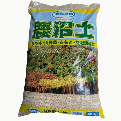 I dy 14L  ~ py R쑐 TcL ccW  ϗtAp y ͂ ʋC