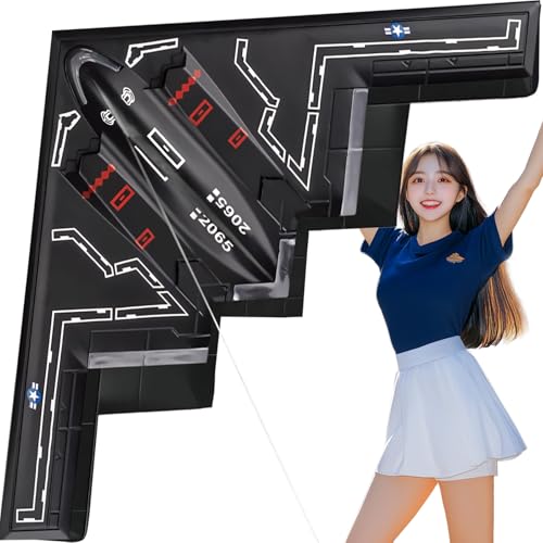 HENGDA KITE Airplane Kite,for Kids and Adults,Easy to Fly,Excellent Fabric and Structure Design,The Pictures are Beautiful in high Definition,Suitable for Beginners Black