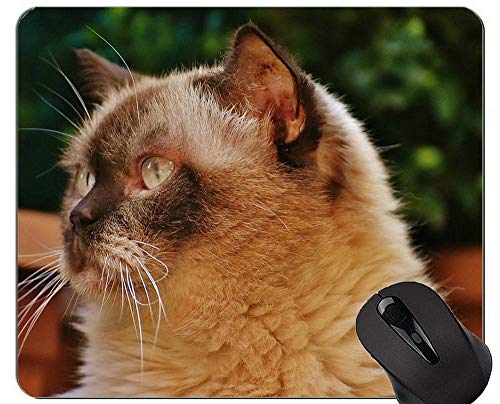 マウスパッド、Shorthair猫ゲーミングマウスパッドカスタム、ステッチされたエッジを持つ猫マウスパッド