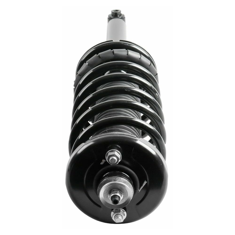 Amazon.com: Qwienals 2PCS Rear Complete Struts & Coil Springs 