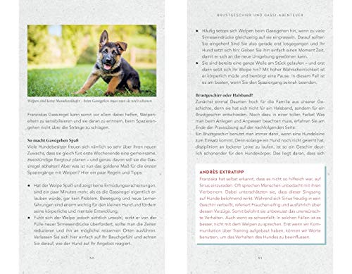 Die Kunst, einen Welpen zu bändigen: Der besondere Wegweiser durchs Leben mit einem jungen Hund (GU Welpen)
