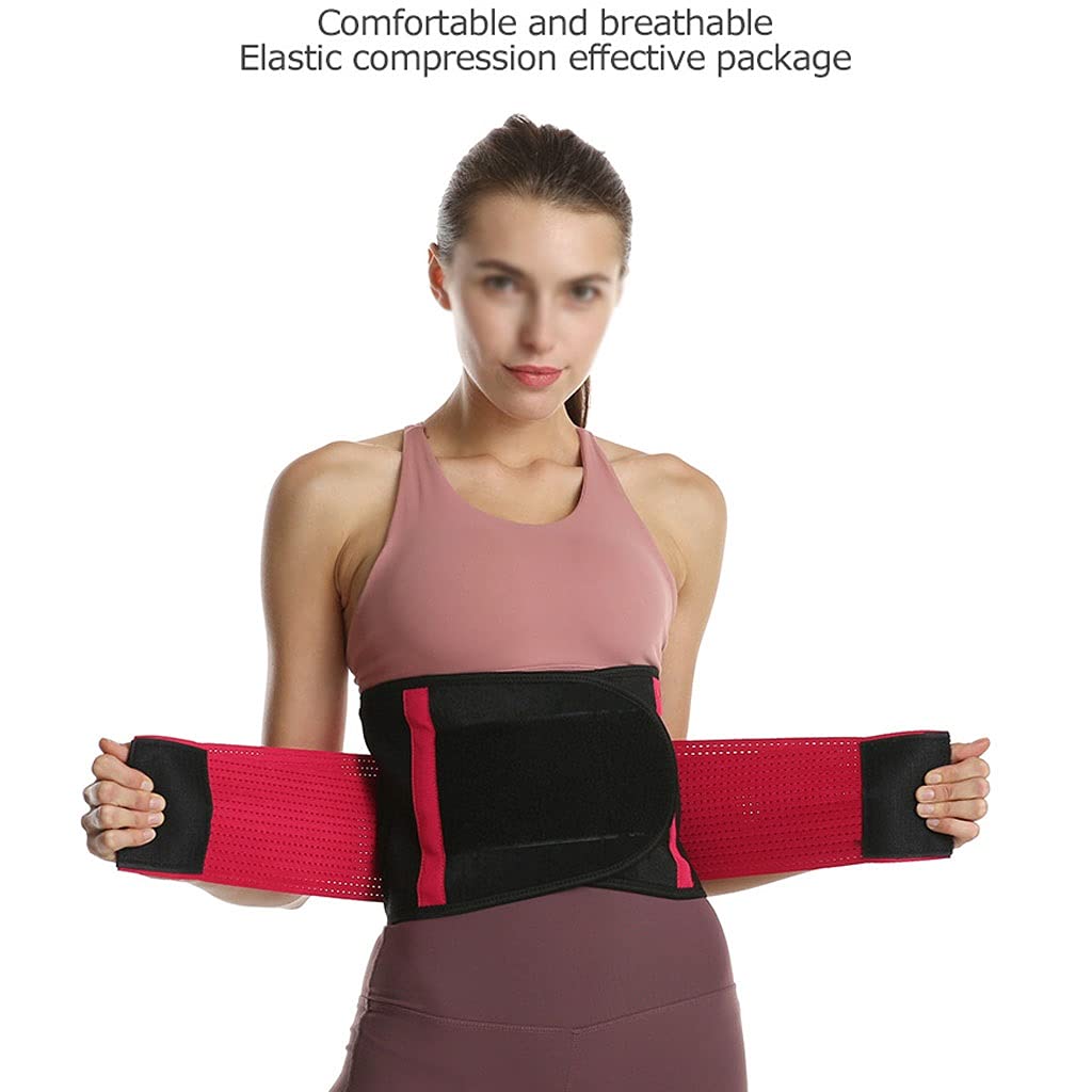Cintura di supporto lombare Sollievo per mal di schiena, ernia del disco, sciatica, scoliosi Design a rete traspirante Cinghie di supporto regolabili Tutore per lombare (viola XL) (viola X) (ross