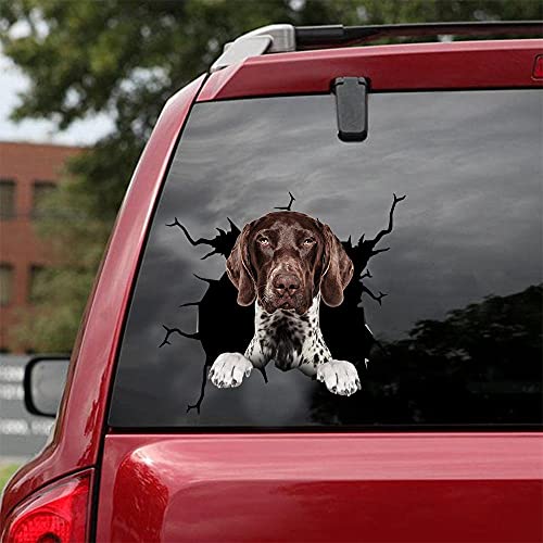 Ocean Gift German Shorthaired Pointer Car Decals, Dog Car Stickers Pack of 2 - Realistic German Shorthaired Pointer Stickers for Car Windows, Walls Series 108 Size 12