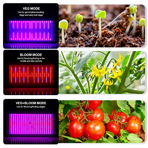 KOSCHEAL 2000W LED Grow Light Full Spectrum with Samsung LM301B and UV