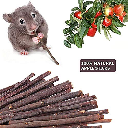 Ashley GAO Bunny Chew Speelgoed Set van 7 stks Natuurlijke Hout Speelgoed voor Chinchilla Hamster Papegaai Konijn… - Image 5