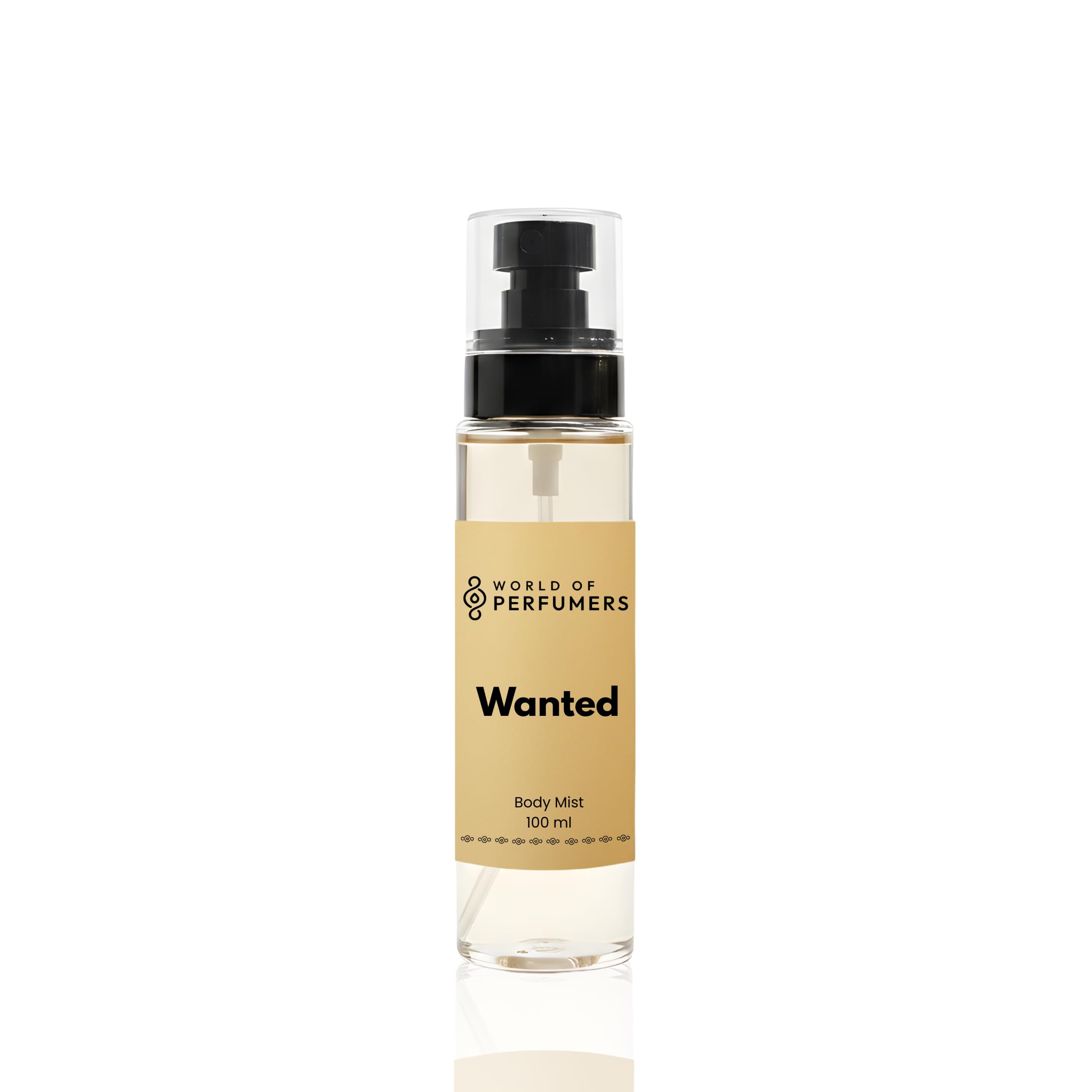 Wanted Body Mist for Men | Inspired by The Most Wanted | Fresh & Amber Fragrance | Long Lasting Refreshing Body Spray | Daily Wear Perfume Mist | 100 ml-image-45