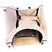 LAPTOP TENT - Portable Sun Shade & Water-Resistant Beach Bag for Outdoor Work | Heat & UV Reflective Fabric | Computer Privacy Hood & Glare Shield | Convertible Tote for Laptop, Towels, Drinks & More