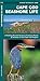 Produktbild Cape Cod Seashore Life: A Folding Pocket Guide to Familiar Plants & Animals in the Cape Cod Region (Pocket Naturalist Guide Series)