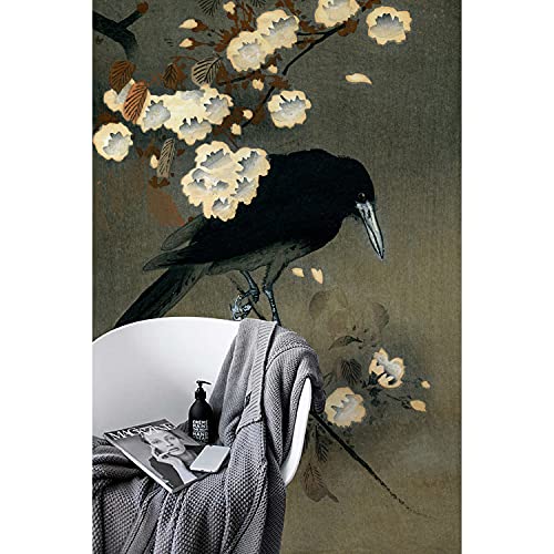 Papier peint grand format Coloray Le corbeau pour masquer les défauts du mur