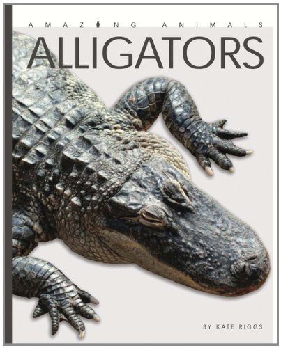 Alligators (Amazing Animals): Riggs, Kate: 9780898126891: Amazon.com: Books