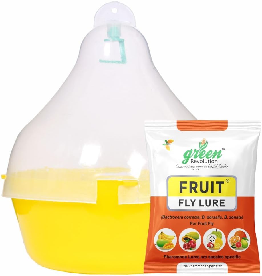 MaxPlus Pheromone Trap with Fruit Fly Pheromone Lure (Bactocera correcta,zonata,dorsalis pheromone Trap) Fruit Fly Trap Pack of 5