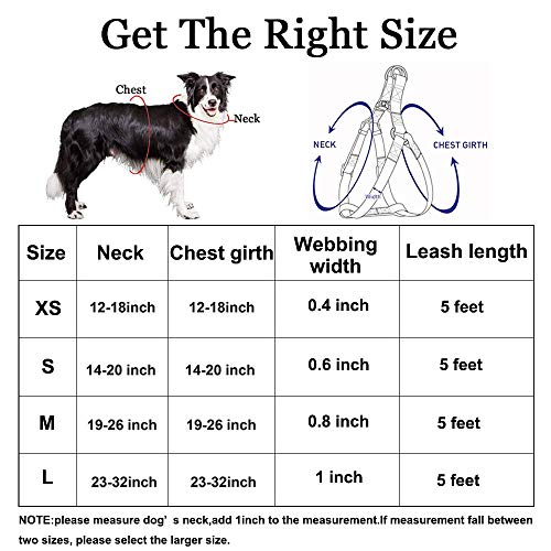 Qqpets Dog Harness Collar Leash Set No Pull Adjustable Back Clip Halter Quick Release Basic Collar 5Ft Anti-Twist Leash For Female Male Puppy Large Breed Training Easy Walk Running #TOP5