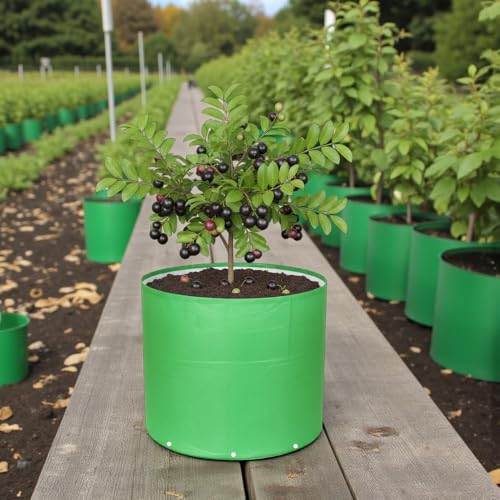 Image of HDPE UV Treated 340 GSM Plant Growing Bags for Terrace Gardening Easy to Use 24 x 18 Inch - Pack of 2