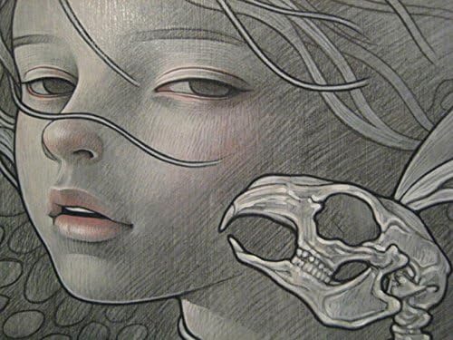 Audrey Kawasaki, titulo: , LI con huesosTHOGRAPHY TECNIQUE 38X28 cmts . PAPER BFK France (WATERMARK) edition 100