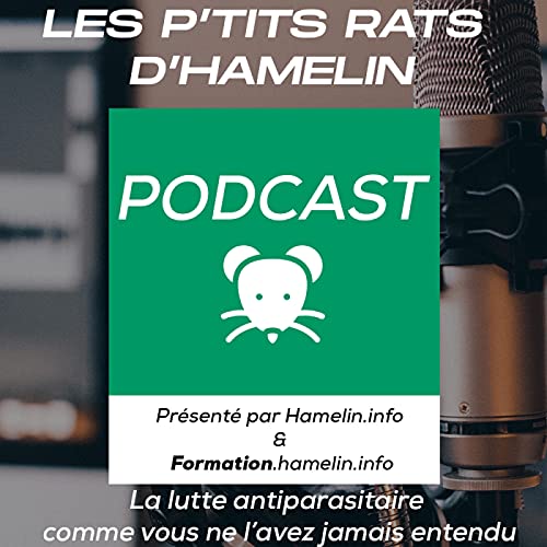 Les Petits rats d'Hamelin cover art