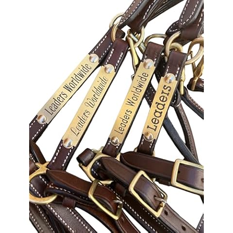 Leaders Leather Halter with Name Plate Cover