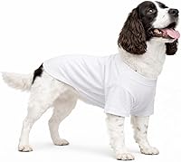 Vista 90 de Lovelonglong Ropa para mascotas, disfraces para perro, ropa de perro salchicha, camiseta en blanco para perros salchicha, Corgi 100% algodón, rosa