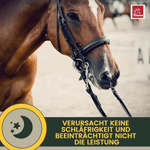 Magnesium Pferd hochdosiert Mag Paste 5X30ml Zusatzfutter Calm Anti Stress zur Entspannung Nerven Beruhigung Pferd I L Tryptophan Pferde Magnesium komplex I Horse Relax bei Angst Transport Silvester