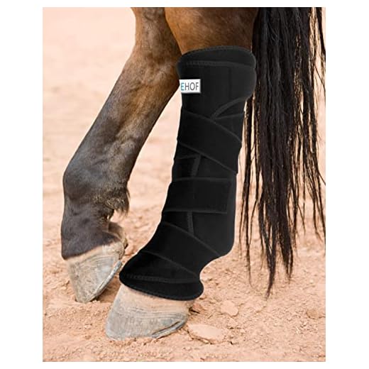 ICEHOF Polainas de refrigeración para Caballo - Material Agradable - 2 acumuladores de frío extraíbles y Vendaje Lavable - función Protectora - Vendaje de refrigeración para Caballos
