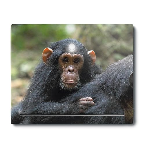 Image of MightySkins Skin Compatible with Alienware X16 R1 (2023) Full Wrap Kit - Baby Chimp | Protective, Durable, and Unique Vinyl Decal wrap Cover | Easy to Apply & Change Styles | Made in The USA