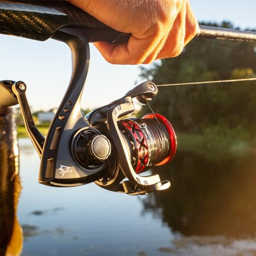 Image of Piscifun Flame Spinning Reel, Lightweight, 22lb Max Drag, 9+1BB