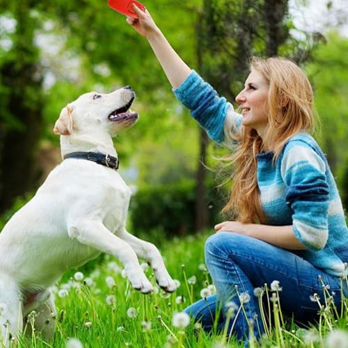 RANYAKE 3er-Pack Rückruf Hundepfeifen-Armband,Hochfrequenz Klicker Hundeklicker Set,Hund-Klicker,2 in 1 Haustier-Trainingsgerät,Hunde- und Katzentrainer mit Handschlaufe