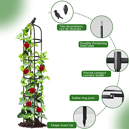 Garden Trellis For Climbing Plants Rustproof Coated Metal 6Ft Tall Plant Support Trellis For Indoor & Outdoor Plants, Climbing Plant, Tomatoes, Vegetables, Fruits, Flowers, Pots, Vines #TOP2