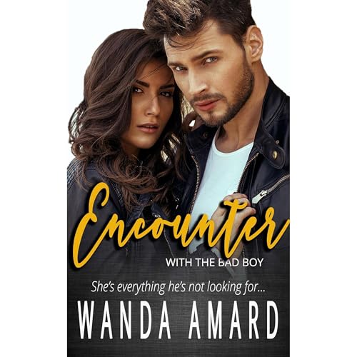 Encounter Audiolibro Por Wanda Amard arte de portada