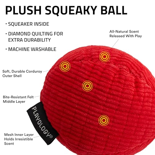 Playology Juguete Mordible de Peluche con Sonido para Perro miniatura 3